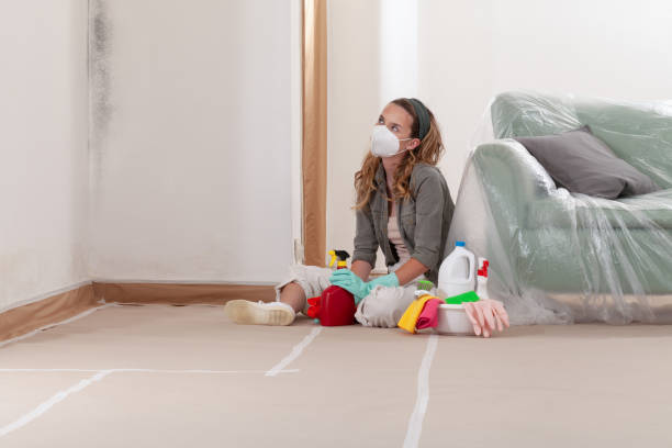 Reliable Mold Inspection contractor in Seaford, VA by WQB Mold Removal